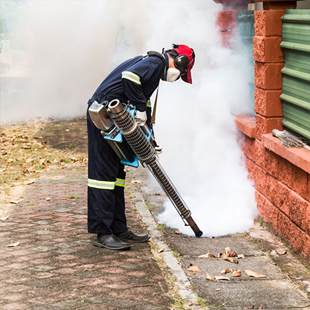 Pest Control Services